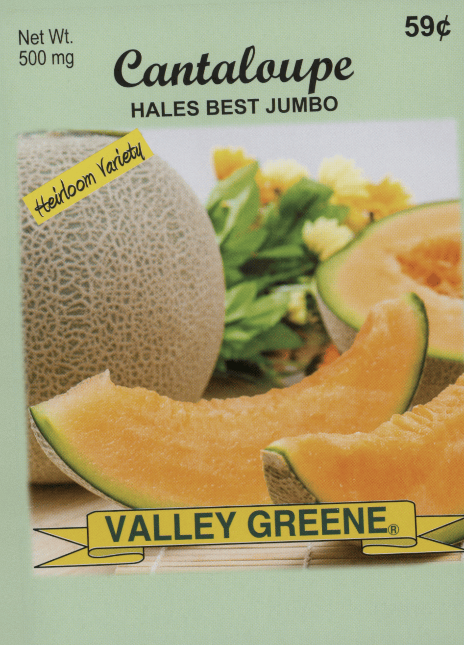 canteloupehbj