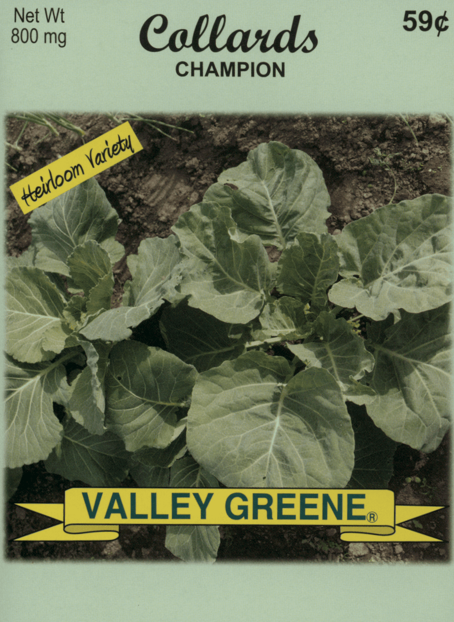 collardschamp
