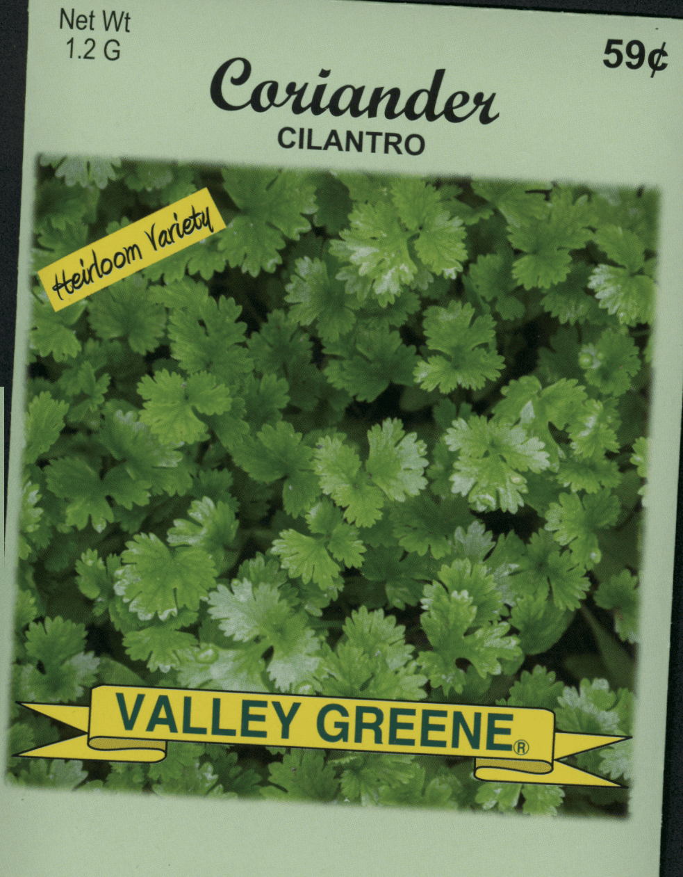 coriandercil